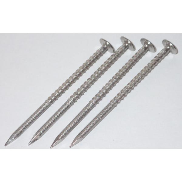(4kg×6) A}eC pXe˂OB #13×45