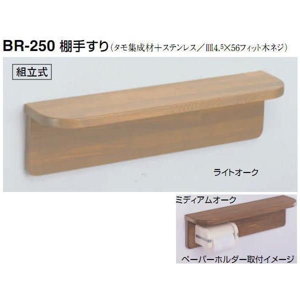 VN}@F@⏕肷@I|萠@BR-250@L590mm@^Wށ@gCpƂĂ
