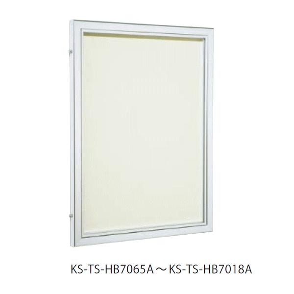 L[iX^ KS-TS-HB7018A f OEp^Jo[t rj[U[\ AC{[ 1111×809 󒍐Y /s/Ezs