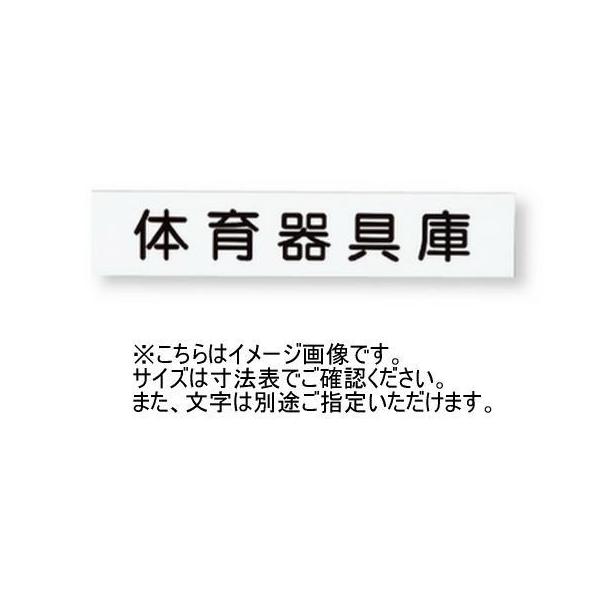 _hz[NGCg SK-613T-2 ʎD(t^Ec) V[g\ 5܂ c vX`bN 󒍐Y