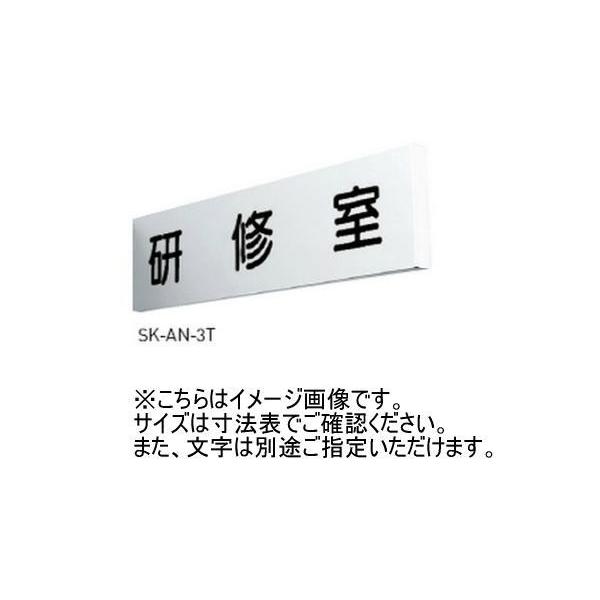 _hz[NGCg SK-AN-3T ʎD(ˏo^) UV A~ 󒍐Y