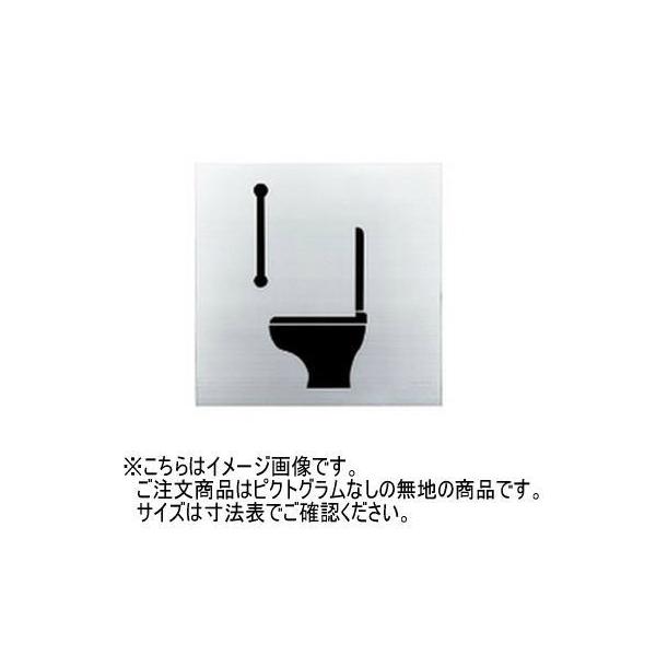 _hz[NGCg SK-AS-2F A~TCv[g(t^) n