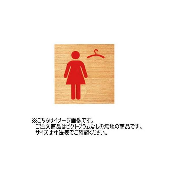 _hz[NGCg(Va) SK-WS-1F ؐTCv[g(t^) n