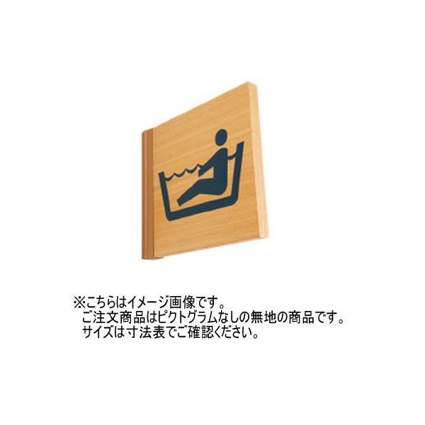 _hz[NGCg(Va) SK-WSN-2T ؐTCv[g(ˏo^) n