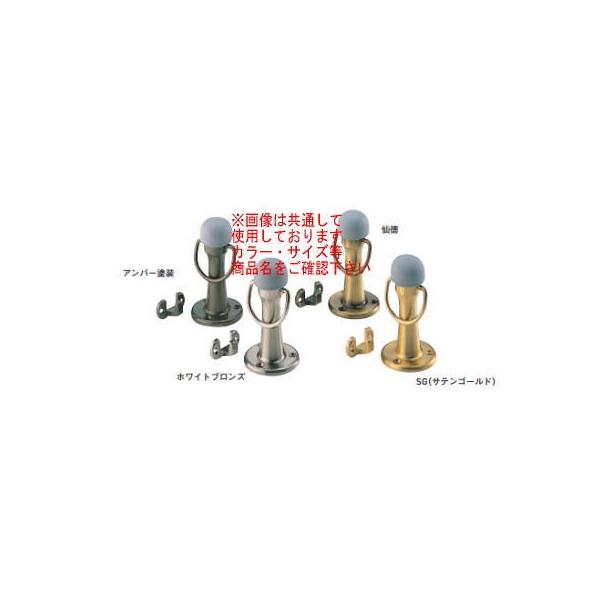 cG[X ACE(168-797)]˓ RZ-1 Ao[h