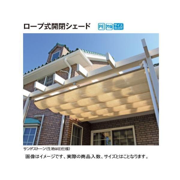 iefan_takasho-1ng-2009