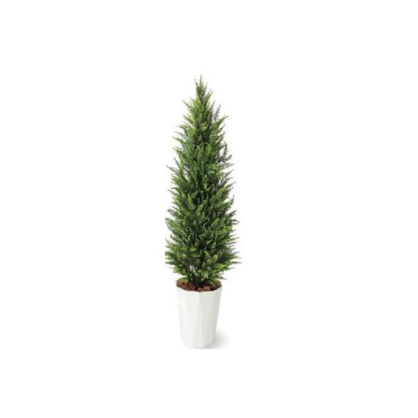 ゴールドクレスト 人工観葉植物」の人気商品一覧 | 安い商品を
