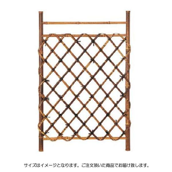 ^JV[ TO-2 Ւ|}܌ W600 ^ls