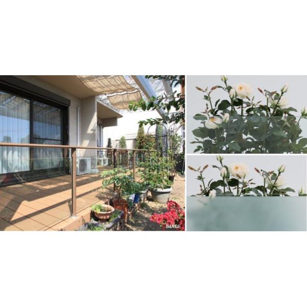 ^JV[ BHA-BG612 r[X[ NAKX atp W600×H1200 ^ls