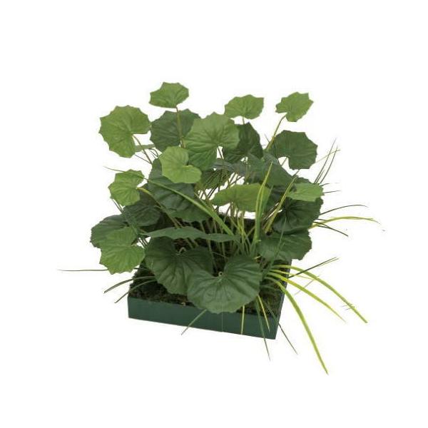 ^JV[(󒍐Y) GD-222 33344801 RZbg cuL iG}j plHA