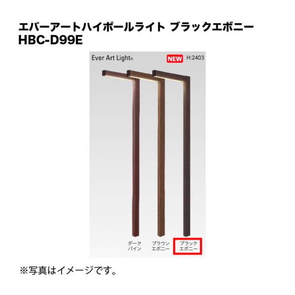 タカショー エバーアートハイポールライト ブラックエボニー HBC-D99E 1個
