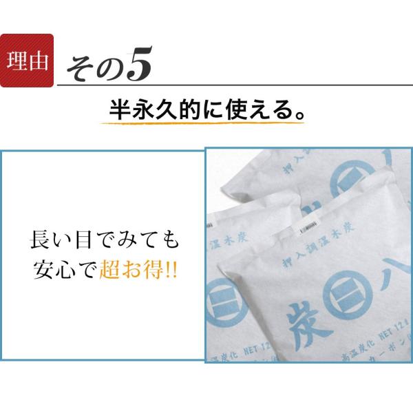 除湿剤結露消臭湿気炭八4種類セット繰り返し室内タンス Buyee 日本代购平台 产品购物网站大全 Buyee一站式代购bot Online