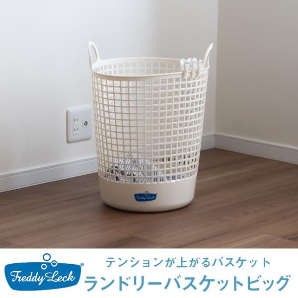 h[oXPbgrbO FL-219@tfBbN@󂩂 Ǝ