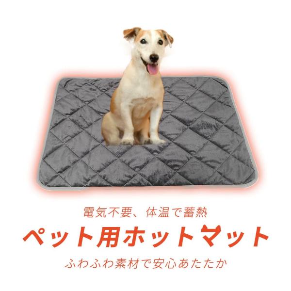 ifc-valuetrust_22-11-17