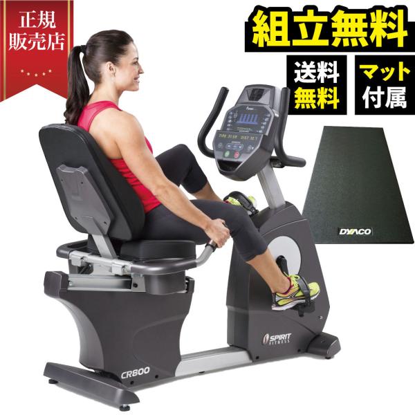 専用 ライフフィットネス リカンベントバイク DYACO リカンベントバイク フィットネスバイク 背もたれ 高齢者 低床