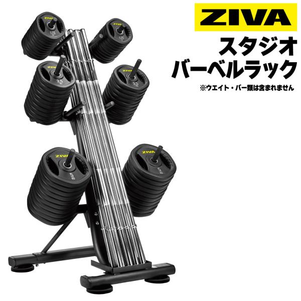 バーベルホルダー ifitness-shop_zst-sb10-6005