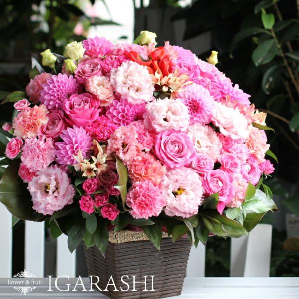 t[AWg    a NX}X v[g AWg t[Mtg t[ JXj AW