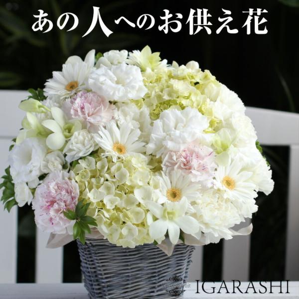   AWg t[ ~  @   ʖ ފ V~ ~ l\ 