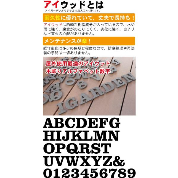 アイウッド木彫り文字 ホワイト 6文字 アルファベット 数字 オブジェ H60mm 大文字 腐らないオリジナル人工木製 手作り Buyee Buyee 提供一站式最全面最專業現地yahoo Japan拍賣代bid代拍代購服務 Bot Online