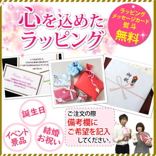 ライオンハート ピアス 片耳 メンズ 男性用 フープピアス LION HEART 