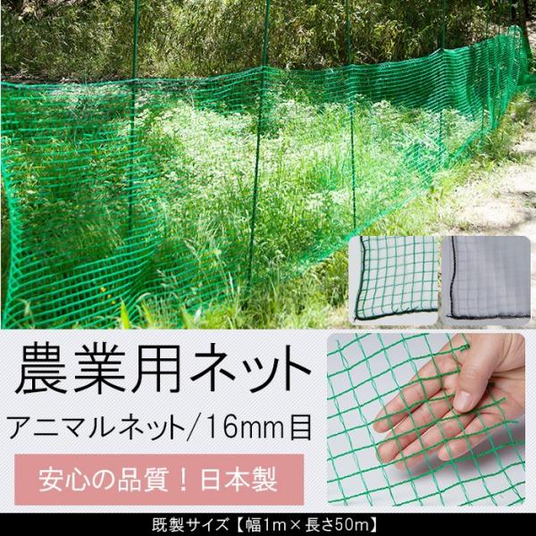 ダイオ 動物よけネット 16mm目 グリーン 1×50m Amazon | ダイオ 動物よけネット 16mm目 グリーン 1×50m | 防鳥・防獣