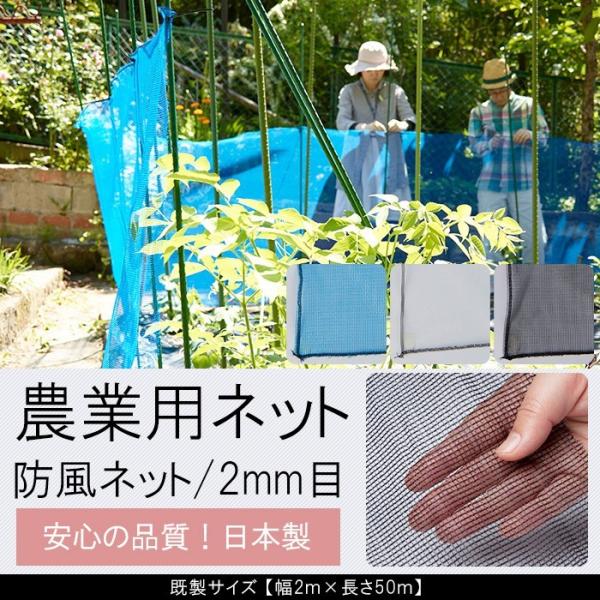 _Ɨp lbg hlbg u[ ubN zCg    2mm i TCY 2×50m JQ