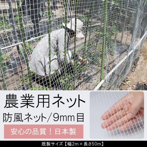 igogochi_anet-900-200