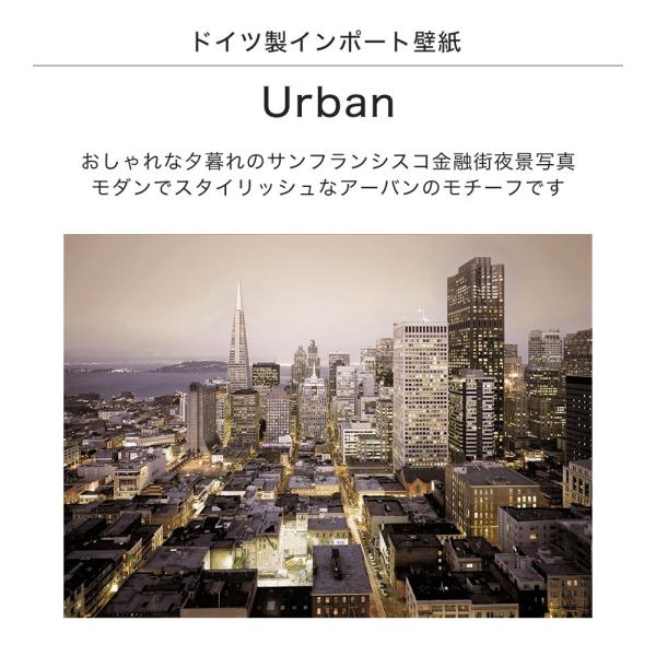 壁紙 張り替え クロス Diy 張り替え おしゃれな輸入壁紙 不織布 アーバン フリース Diy 工具 Urban アーバン サンフランシスコ写真 8nw 709 だまし絵 Kger0 カーテン シェードのお店イゴコチ