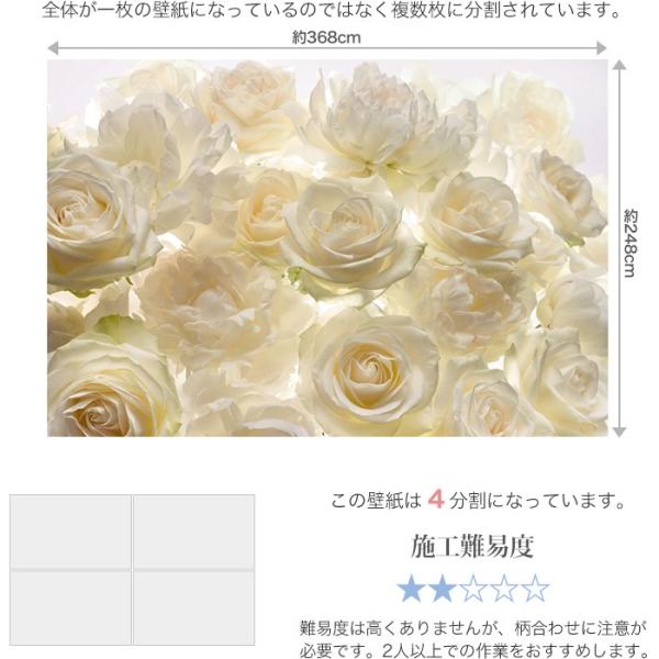 壁紙 おしゃれな輸入壁紙 クロス 写真 不織布 Diy 工具 フリース バラ ドイツ製 Shalimar シャリマー Xxl4 007 花柄 バラ 写真 Kger053 カーテン シェードのお店イゴコチ