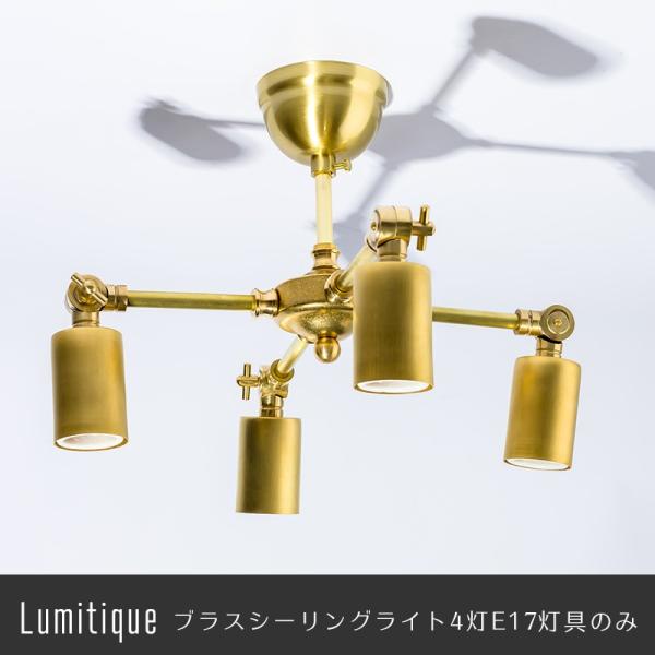 Ɩ ̂ ݂艺 LEDΉ ~eB[N uXV[OCg4 C-F-1