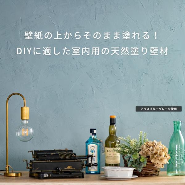 ひとりで塗れるもん 壁 Diy 内装 補修 漆喰の壁 塗り壁材 11kg Jq Buyee 日本代购平台 产品购物网站大全 Buyee一站式代购 Bot Online