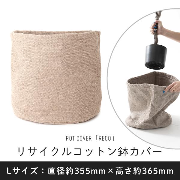 Jo[   k Ȃ i` 10 z v^[Jo[ ^ y y TCNRbg RECO R LTCY C-F-1 