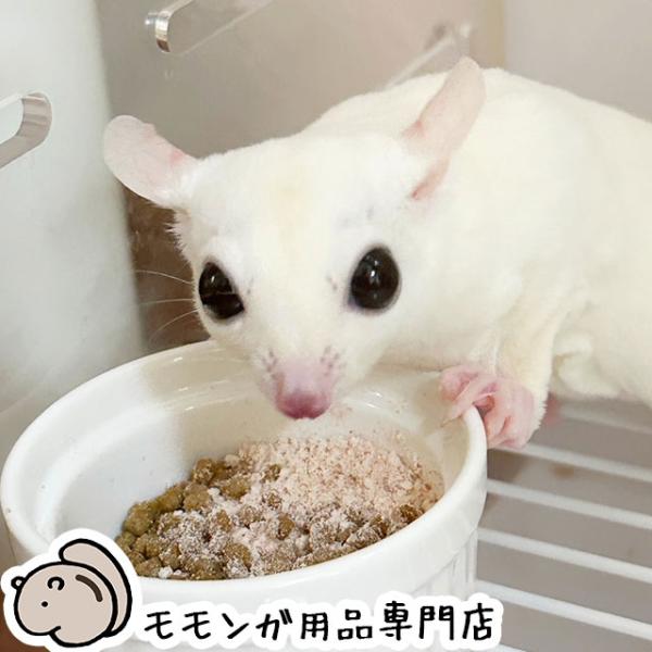 　　　ヘ＿ヘ　 _( ・ω・) ＜ももんがもんもん共和国でーす　ヽ　　　フ　/＿ _＿/　　(_)当店はフクロモモンガ用品の専門店です。「フクモモ専用フード（エサ・おやつ）」「寝袋ポーチやハンモック」「爪切りのペースを減らせる爪とぎアイテム...