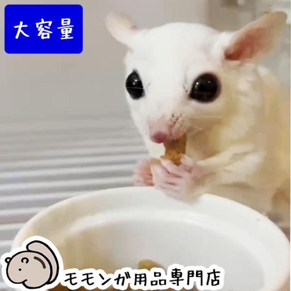 「大容量」むしたまいちごペレット 大容量750g ももんがもんもん共和国オリジナルフード フクロモモンガのペレットフード エサ 餌 主食 主食フード