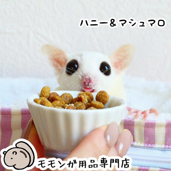 ゆうパケットOK ハッピーブレンドグライダーフード ハニー＆マシュマロ 300g ももんがもんもん共和国 フクロモモンガ フード エサ 餌 主食 メール便対応