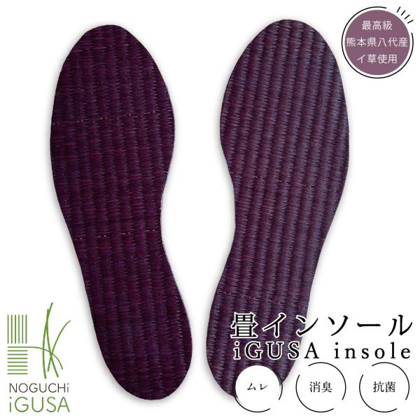 ⭐️インソール シューズ 中敷き 軽い 通気性 防臭 ブラック 23-23.5cm 楽天市場】 中敷き・靴用品 > 中敷 : EDIE（エディ）