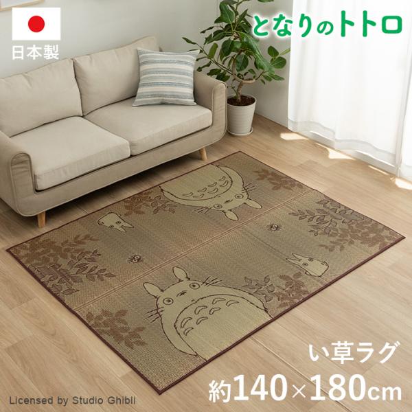igusakotatu_8229850