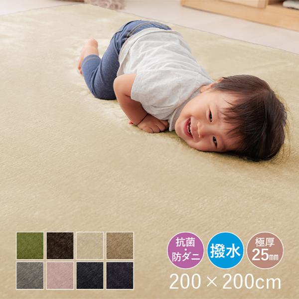 ラグ カーペット 厚手 低反発ラグ 極厚 25mm 200×200 ラグマット オールシーズン 秋 冬  防音 絨毯 おしゃれ 抗菌 防ダニ フリーリー