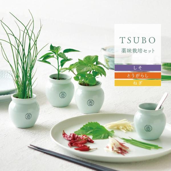 毛铺草本12年+養生一號6本セット ◇山本漢方製薬 大麦若葉粉末100％ 大容量 3g×88包: サン