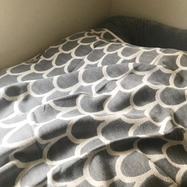 KLIPPAN KLIPPAN（クリッパン）シュニールコットンブランケット