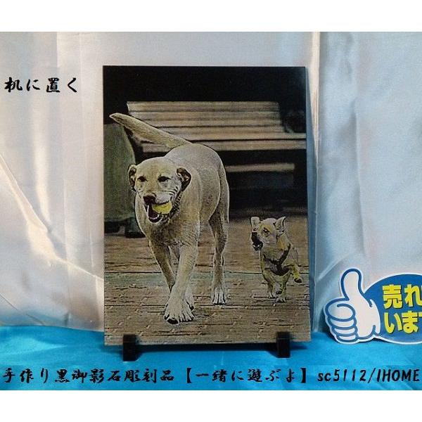 Z[ AWAG oA[g  e G撤iꏏɗVԂjsc5112