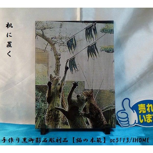Z[ AWAG oA[g  e G撤iL̖{\jsc5113