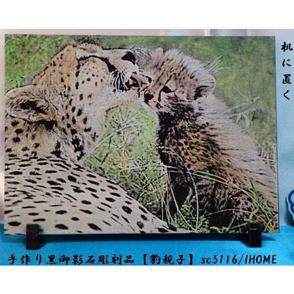 Z[ AWAG oA[g  e G撤i^eqjsc5116
