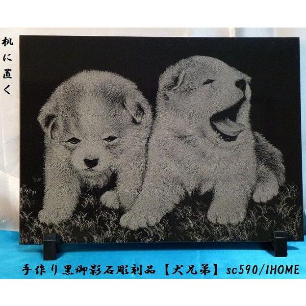 Z[ AWAG oA[g  e G撤iZjsc590