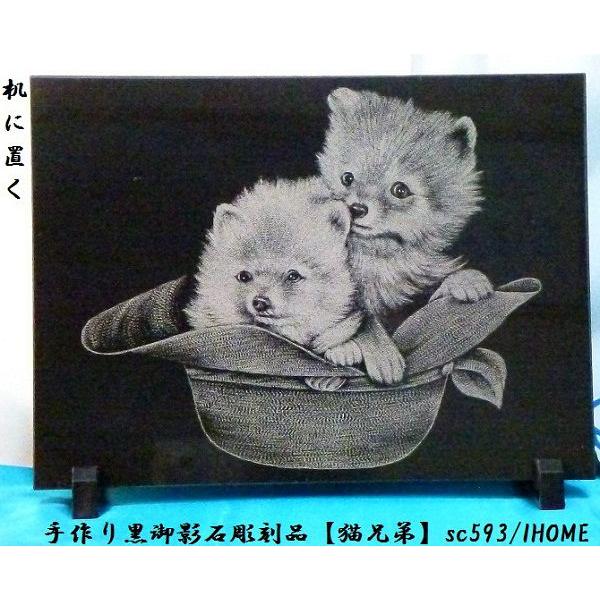 Z[ AWAG oA[g  e G撤iLZjsc593