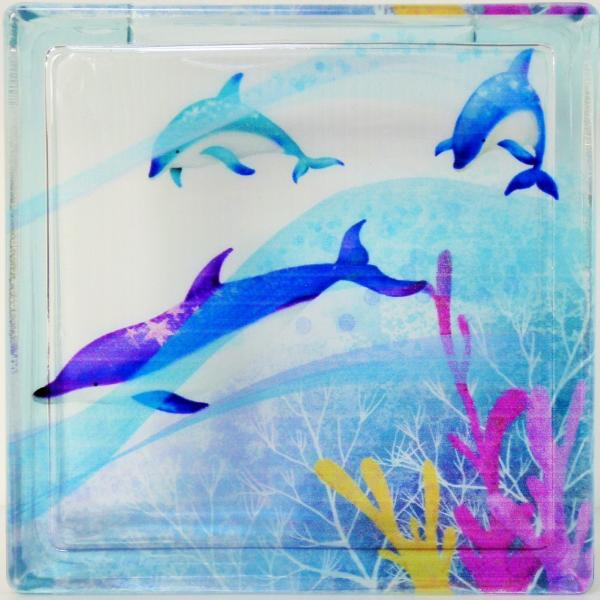 【サイズ】190x190×厚み80mm【開口部】蓋付き・長方形口　4サイド溝加工・防震対応【カラー】全面クリア　透けるダイレクトタイプ・片面絵付け・イルカ【重量（1個約）】2.3kg【販売単位】 1個より　新築住宅・店舗・カフェ・レストラン...