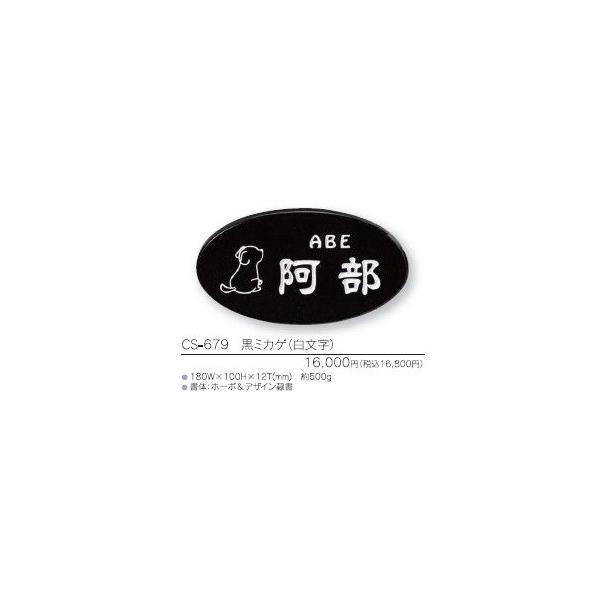 CgX^C\D CS-679 ~JQ()