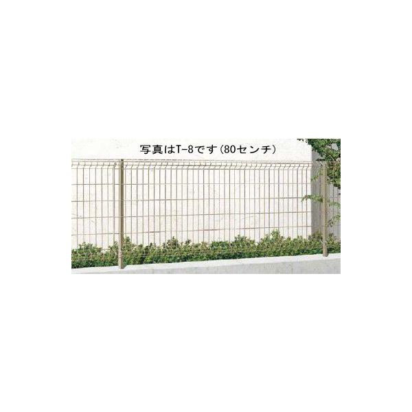 iidaya_haiguridon815 iidaya_haiguridon815