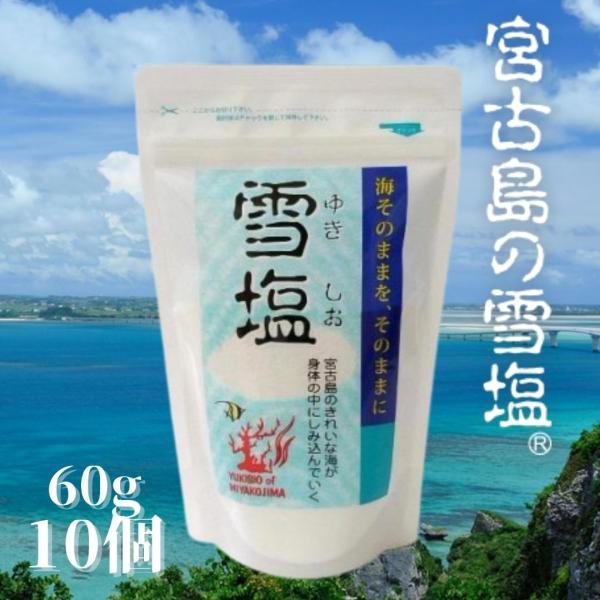 雪塩 雪塩かける塩 ドレッシングソルト（小瓶）料理の時短に万能調味料 他