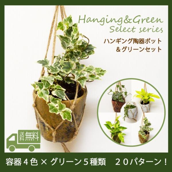 アンティークなハンギングポット グリーンセット 選べるパターン 容器全4色 観葉植物５パターン へデラ アイビー ポトス グリーンネックレス Buyee Buyee 提供一站式最全面最專業現地yahoo Japan拍賣代bid代拍代購服務 Bot Online